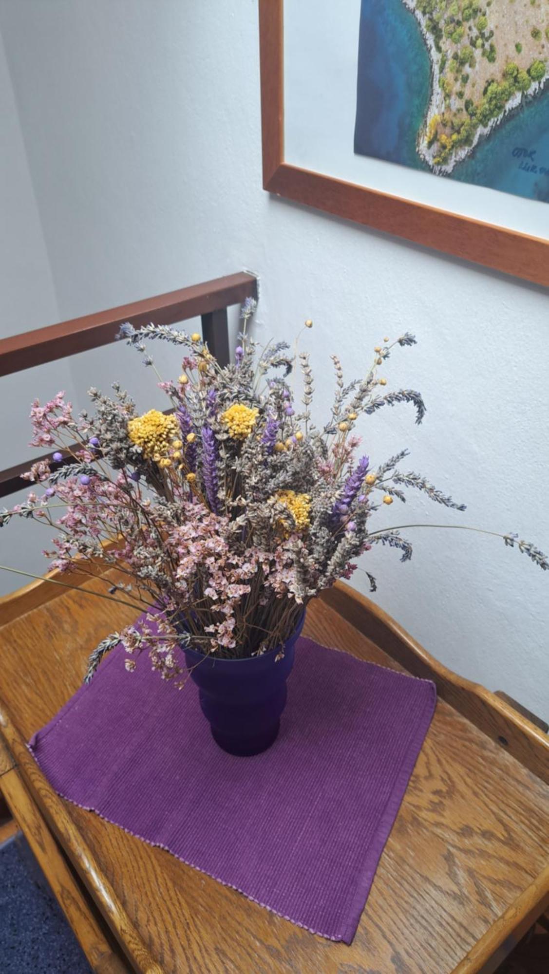 Apartmani Donna Poreč Eksteriør billede
